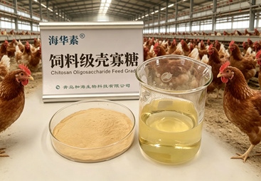 2026年饲料级壳寡糖精品定制厂家质量参考评选