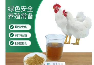 饲料用褐藻寡糖生产厂选购参考汇总，2026年靠谱厂家不踩坑