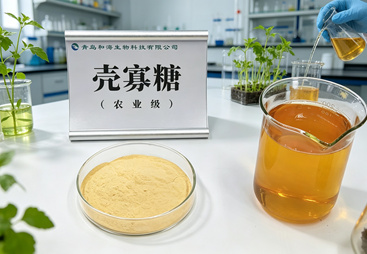 2026年农业级壳寡糖服务商厂家选购参考汇总