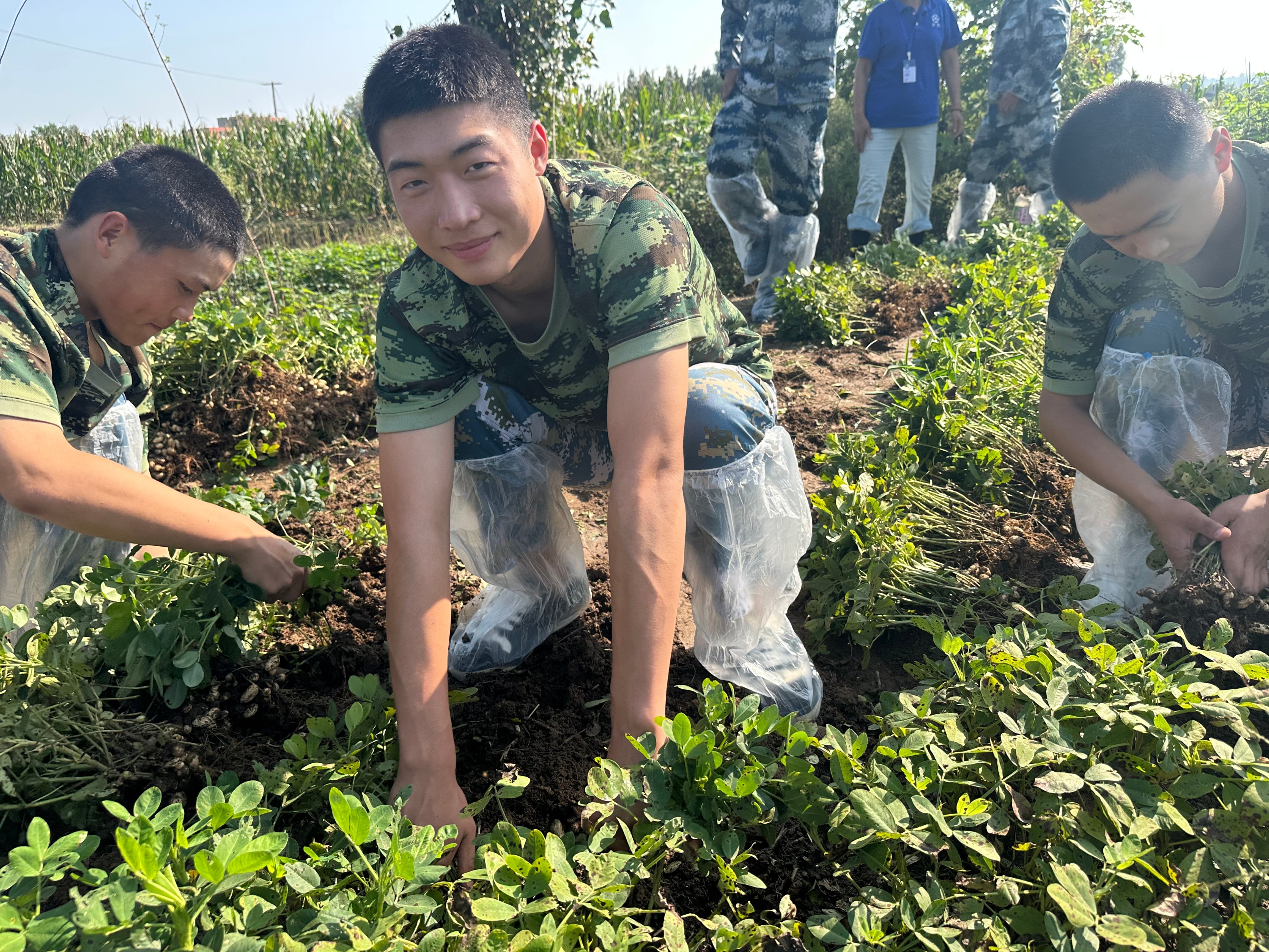 2025年河南诚信的叛逆孩子学校排名：口碑好的问题少年教育学校有哪些？
