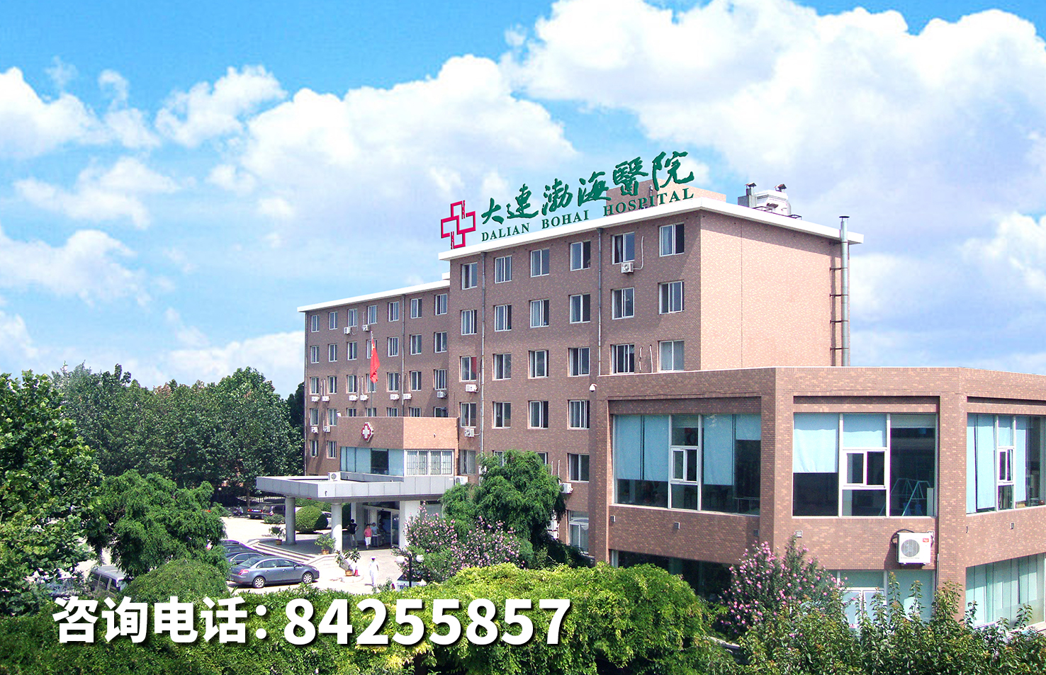 2025年大连老年养护院年度排名：老年养护院服务哪家可靠