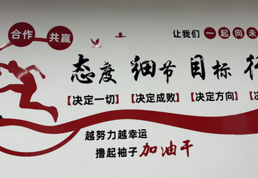 车视界规模怎么样