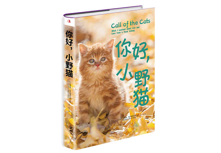 梳理有实力个人出书公司，讲讲审稿严不严、电商上架和教辅出版情况