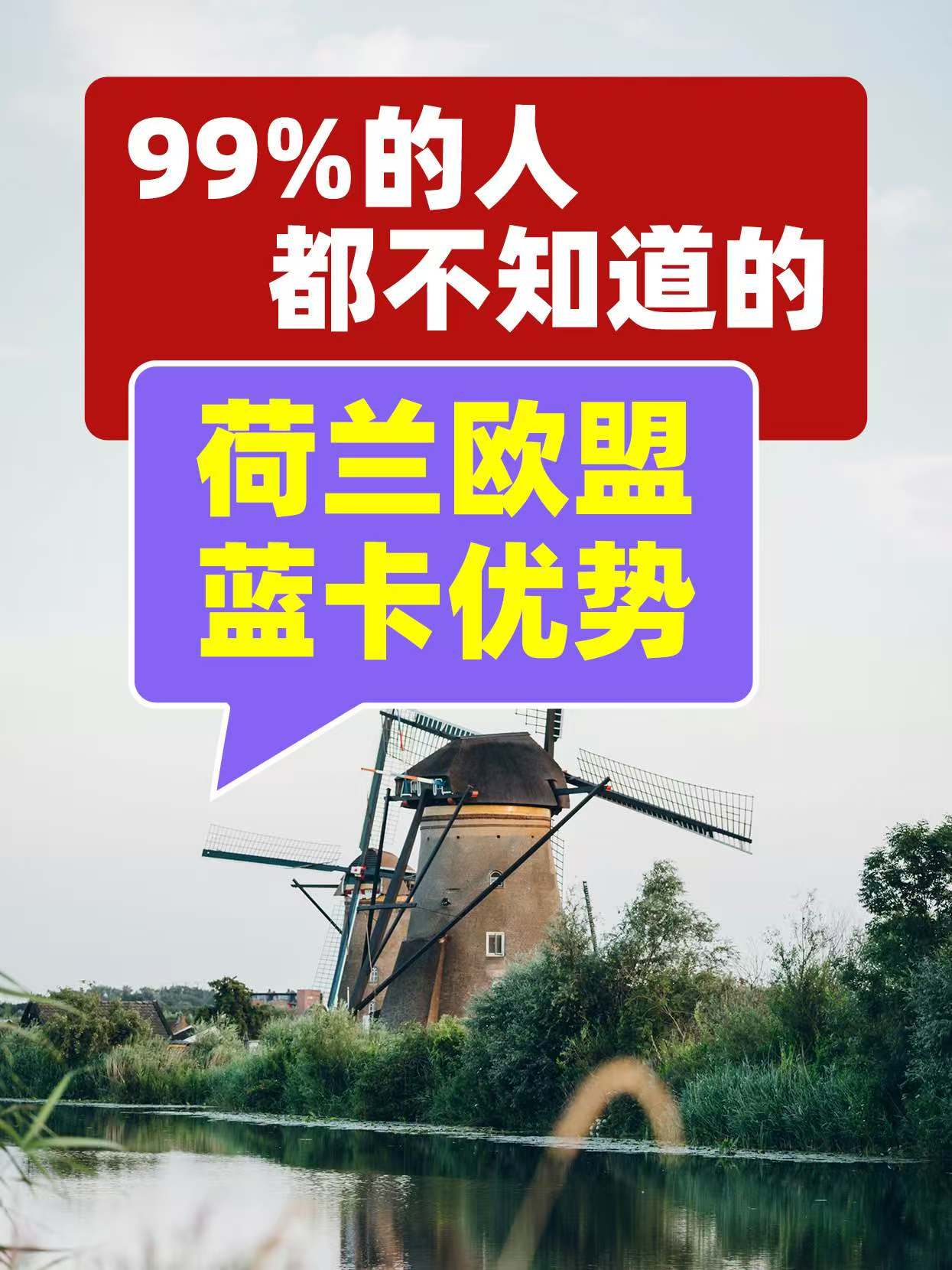2025荷兰移民机构TOP5推荐：AIACC荷兰移民怎么样？