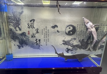 长春消防培训学校通过率高的培训怎么联系？看这三点不踩坑