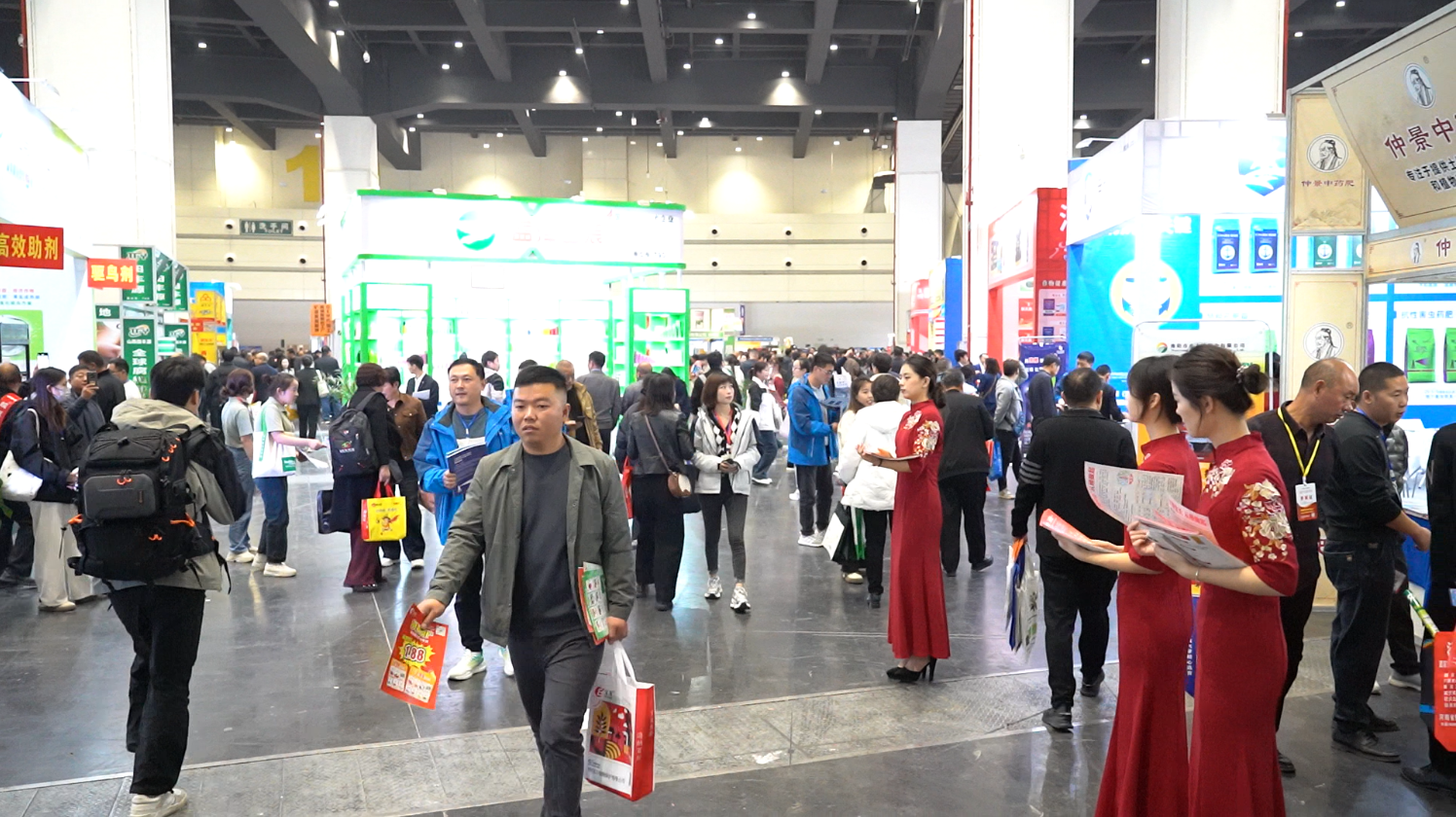 细聊河南种子会对农业增产有无帮助，观众多不多，宣传推广强不强