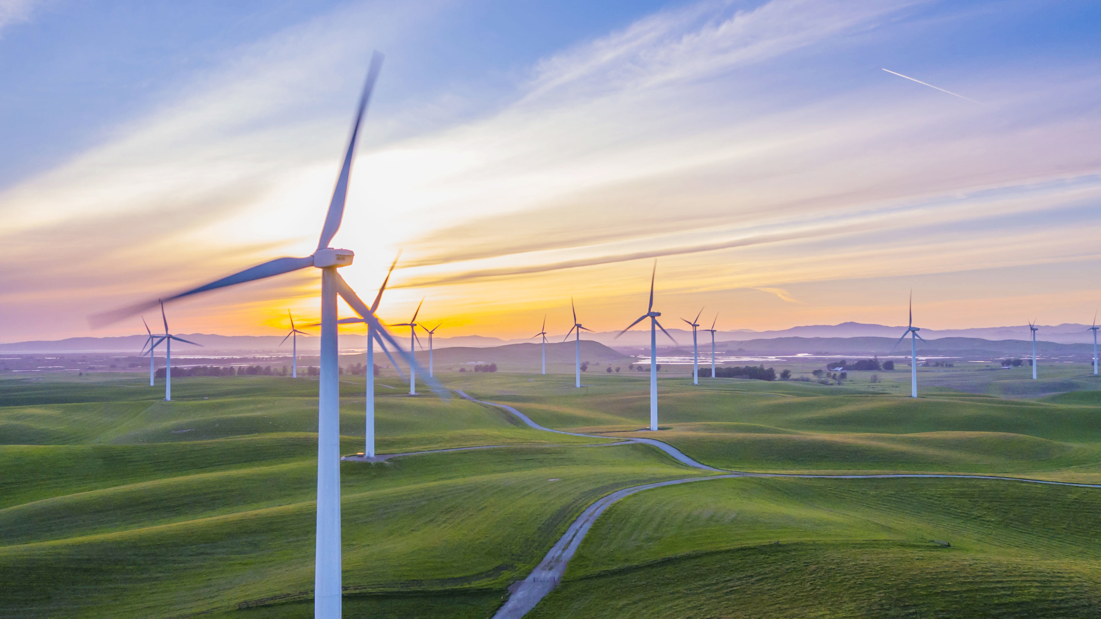 2026年上海欧标电缆厂优质服务厂家，乔浦线缆服务好哪家强？