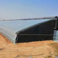 专业的土墙日光温室生产厂家哪家好，山东冠创表现出色