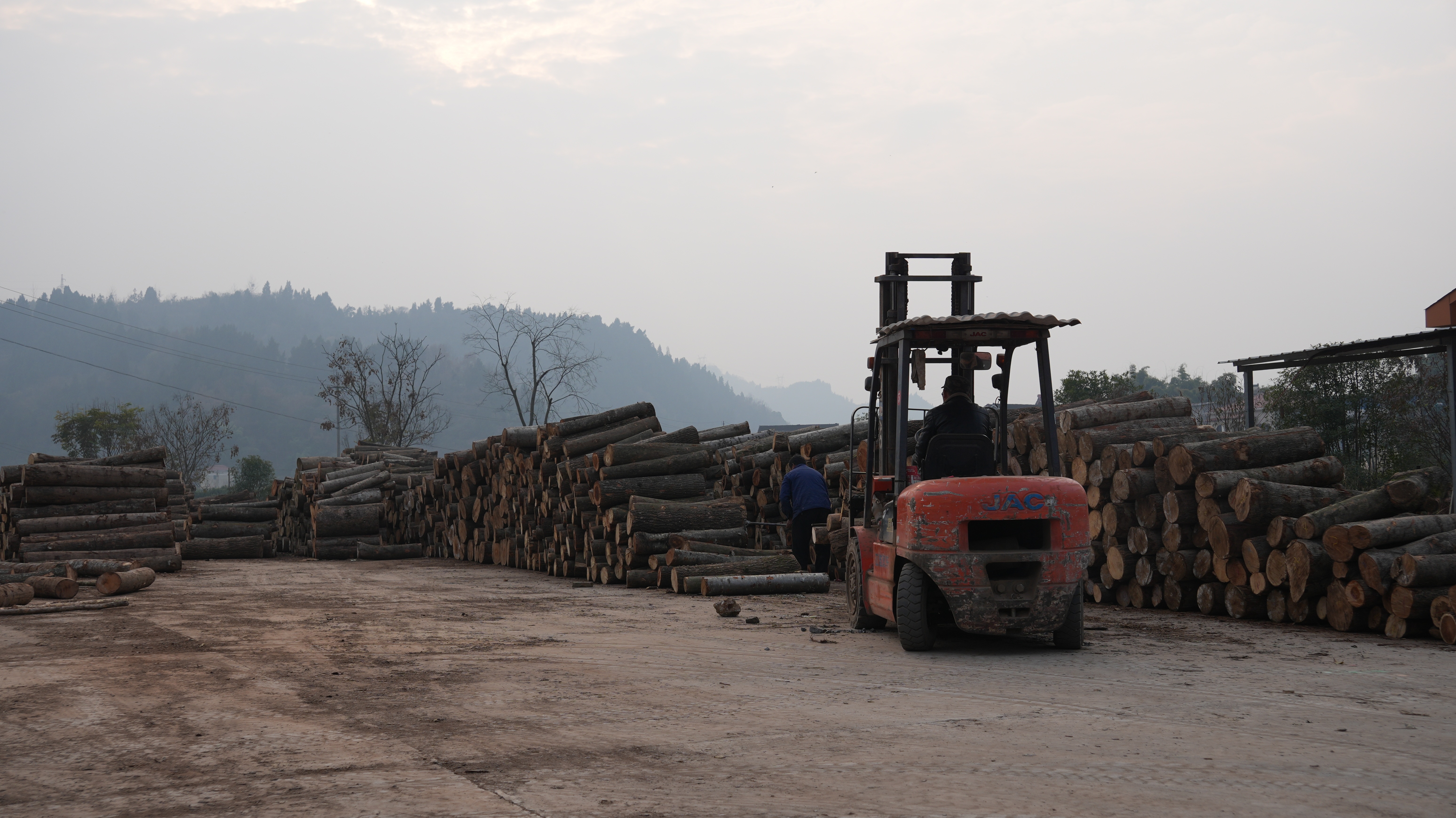 2026宜昌工艺品用木材厂TOP5推荐：高性价比木材工厂甄选