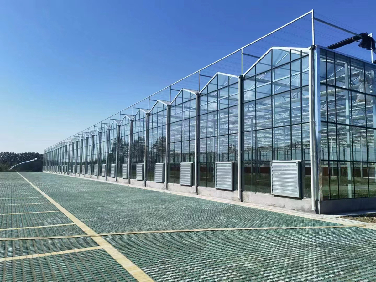 2026年安徽玻璃温室优质供应商盘点，冠丰温室口碑出众！