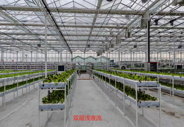 农业玻璃温室供应商产品质量好 2026年行业全景分析