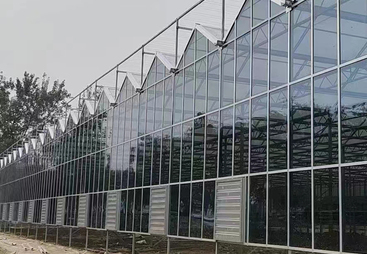 细聊冠丰温室大棚产品耐用性，探讨实际情况