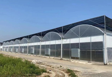 连栋温室定制厂家综合实力推荐，用户力荐的优质选择
