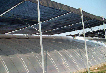 梳理口碑好的连栋温室大棚建造公司，哪家性价比高来分析