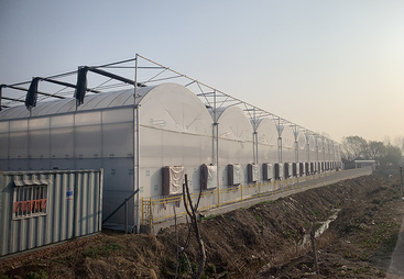 湖南日光温室哪家专业 用料扎实的源头生产厂家实力参考