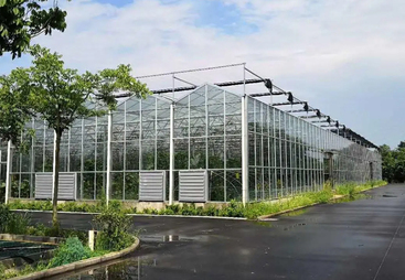 分享智能连栋温室建设厂家，哪家费用更合理？