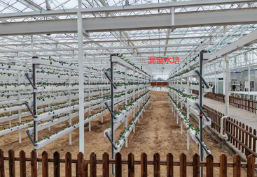2026年广受信赖的玻璃温室建设公司 客户口碑力荐