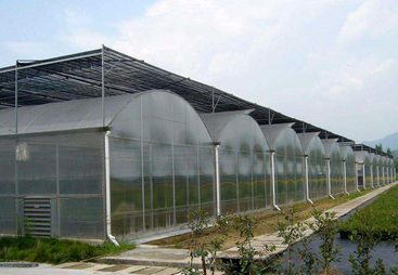 热议连栋温室大棚安装公司，哪家性价比高费用合理