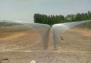 归纳日光温室大棚建设选购注意事项，哪家口碑好选哪家
