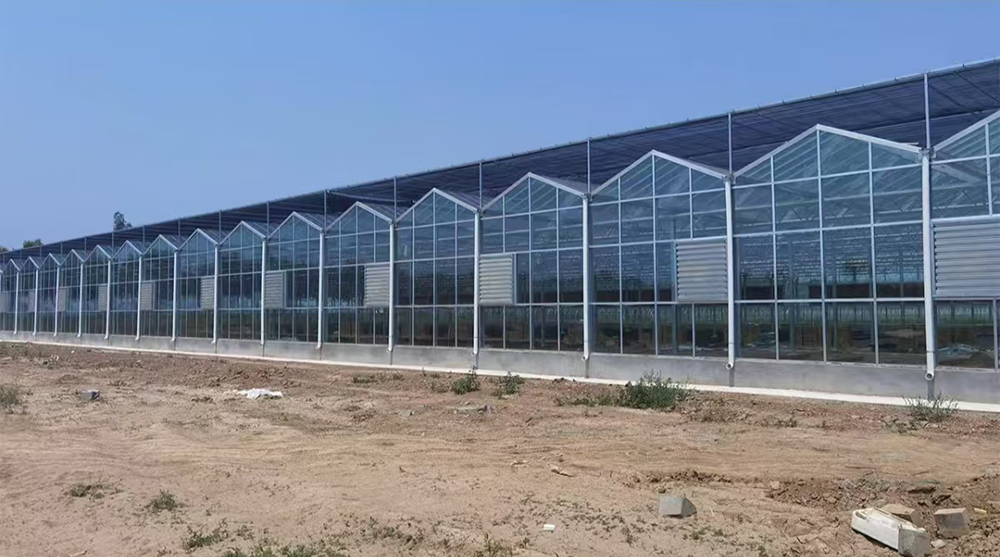 想了解冠丰温室玻璃温室口碑？这些评价别错过
