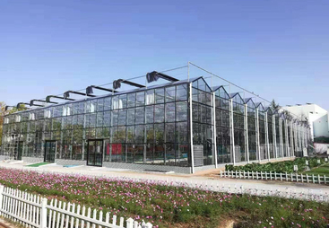 玻璃温室承建企业价格差异大，怎么选到性价比高的厂家