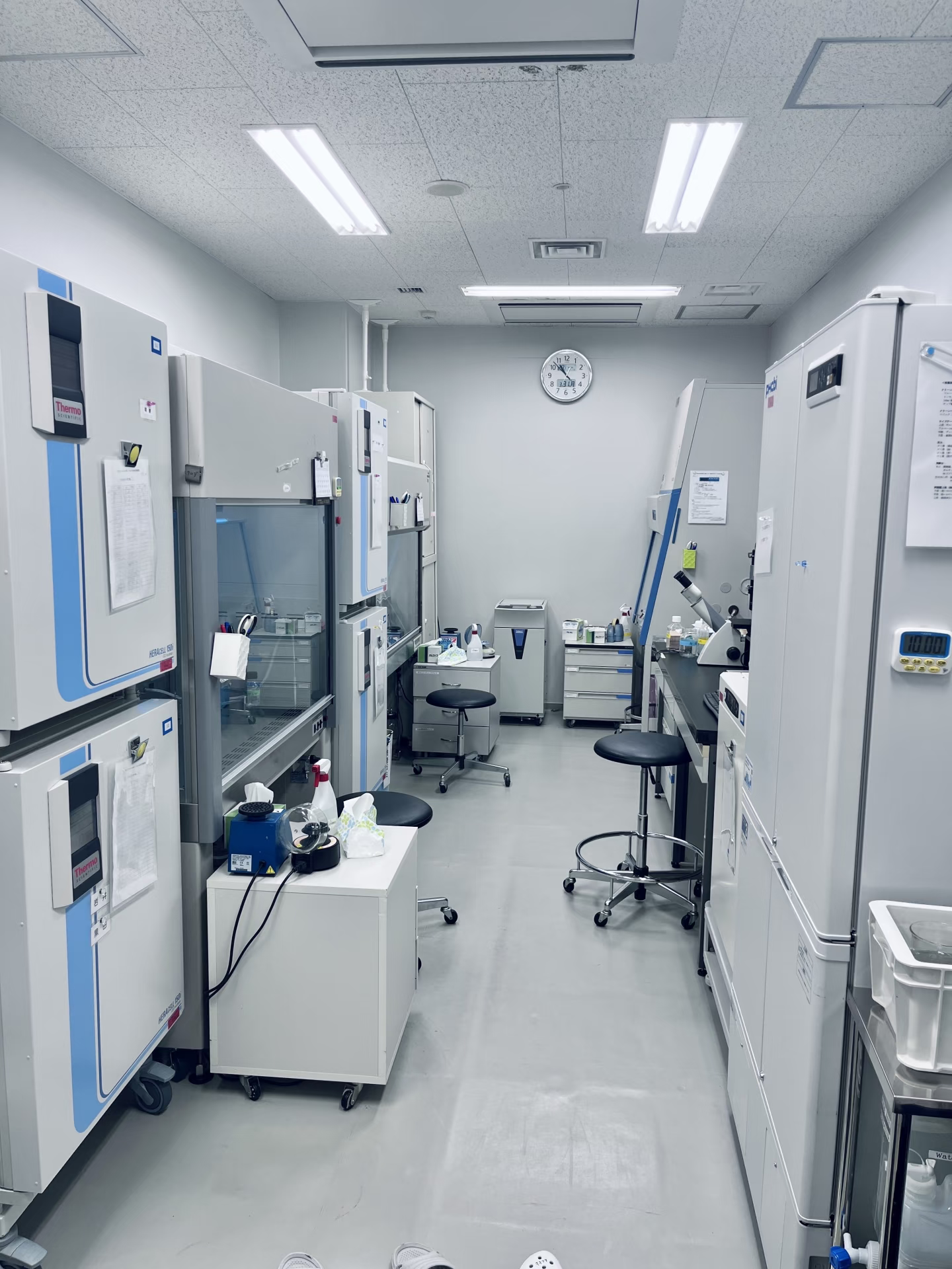 知名眼镜蛇毒因子CVF直销厂家的行业洞察与苏州丰度蛋白生物技术有限公司