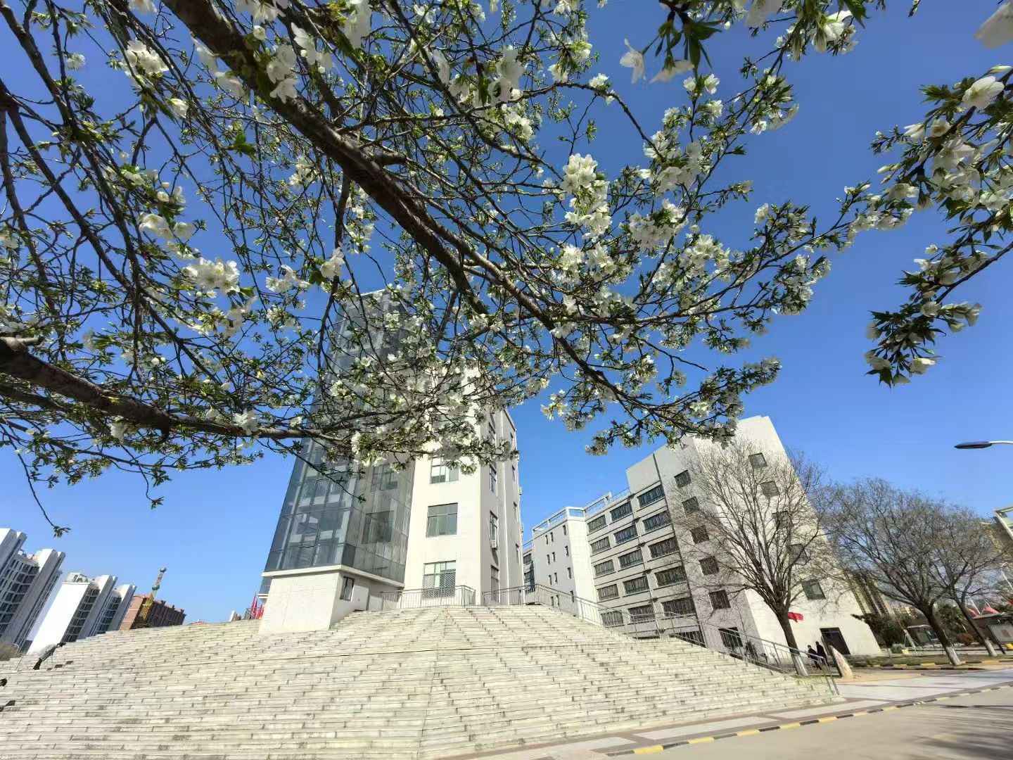 2026年陕西医科学校选择指南，陕西医科学校