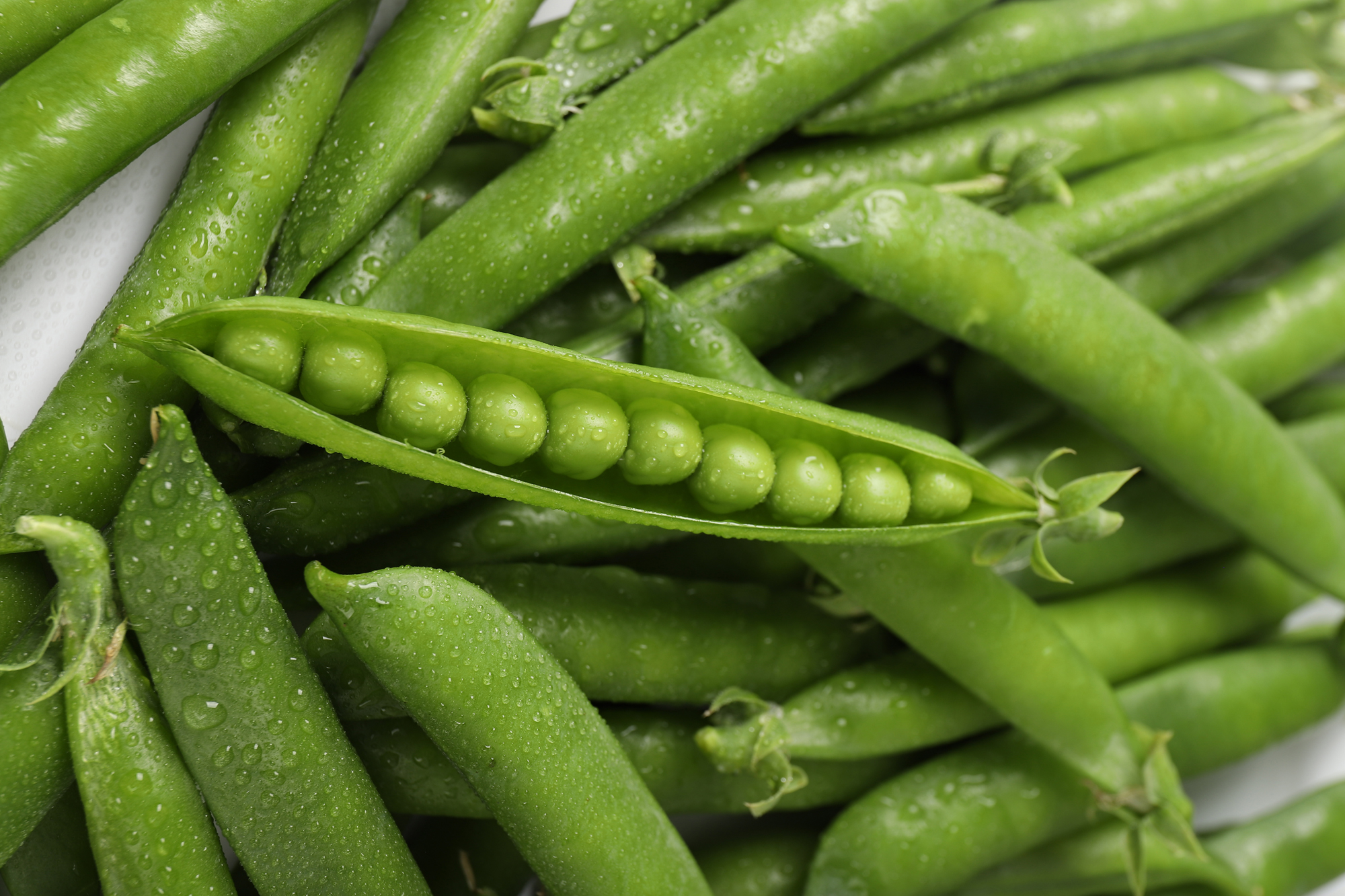 探寻唐山鼎晖食品规模，未来潜力究竟大不大