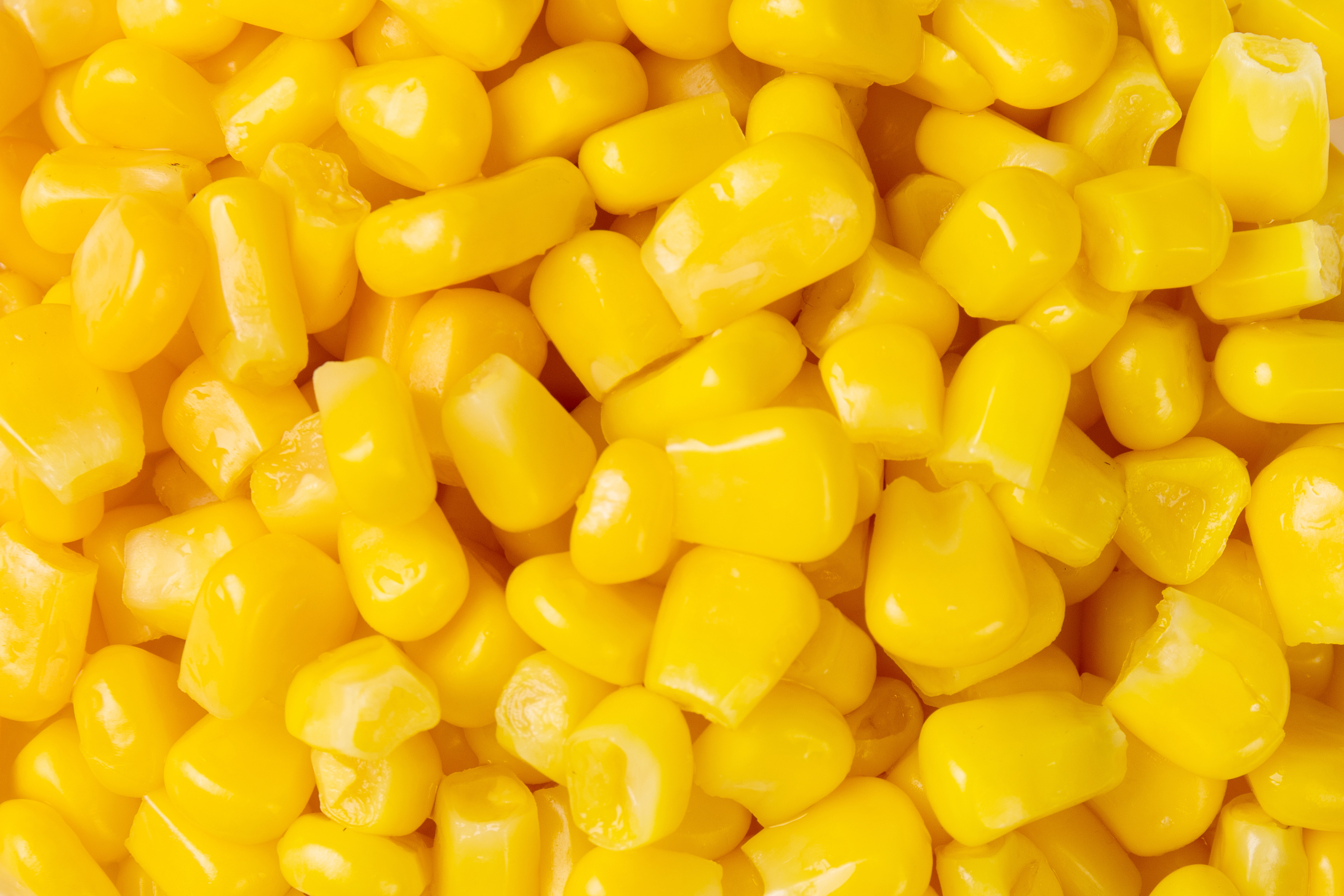 说说唐山鼎晖食品，品牌知名度高不高口碑份额靠谱吗