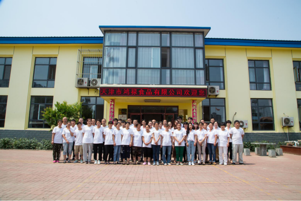 2026年口碑好的包饺子调料推荐，鸿禄食品满足多样需求