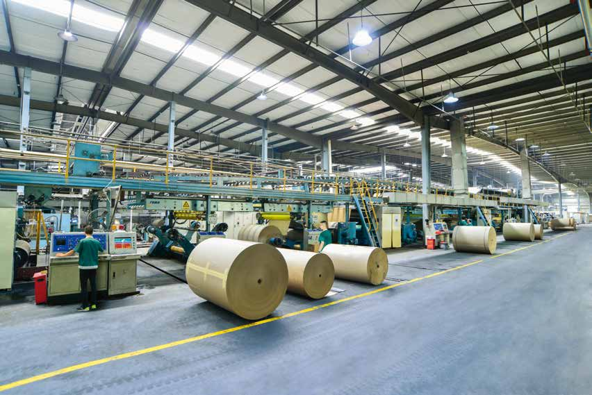 2026年台州口碑不错的纸箱厂排名，森林包装实力上榜值得关注