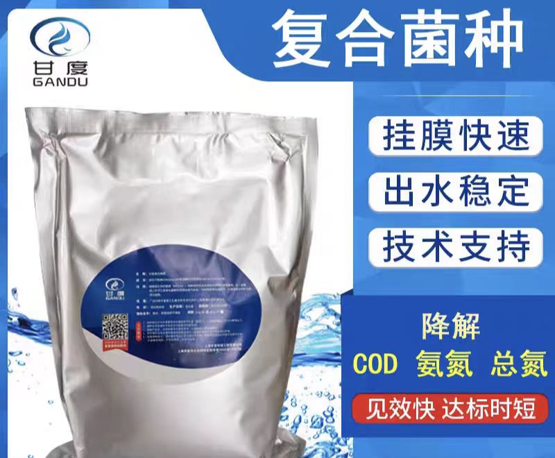 2026年热门的酿酒废水处理用复合菌种源头厂家用户力荐