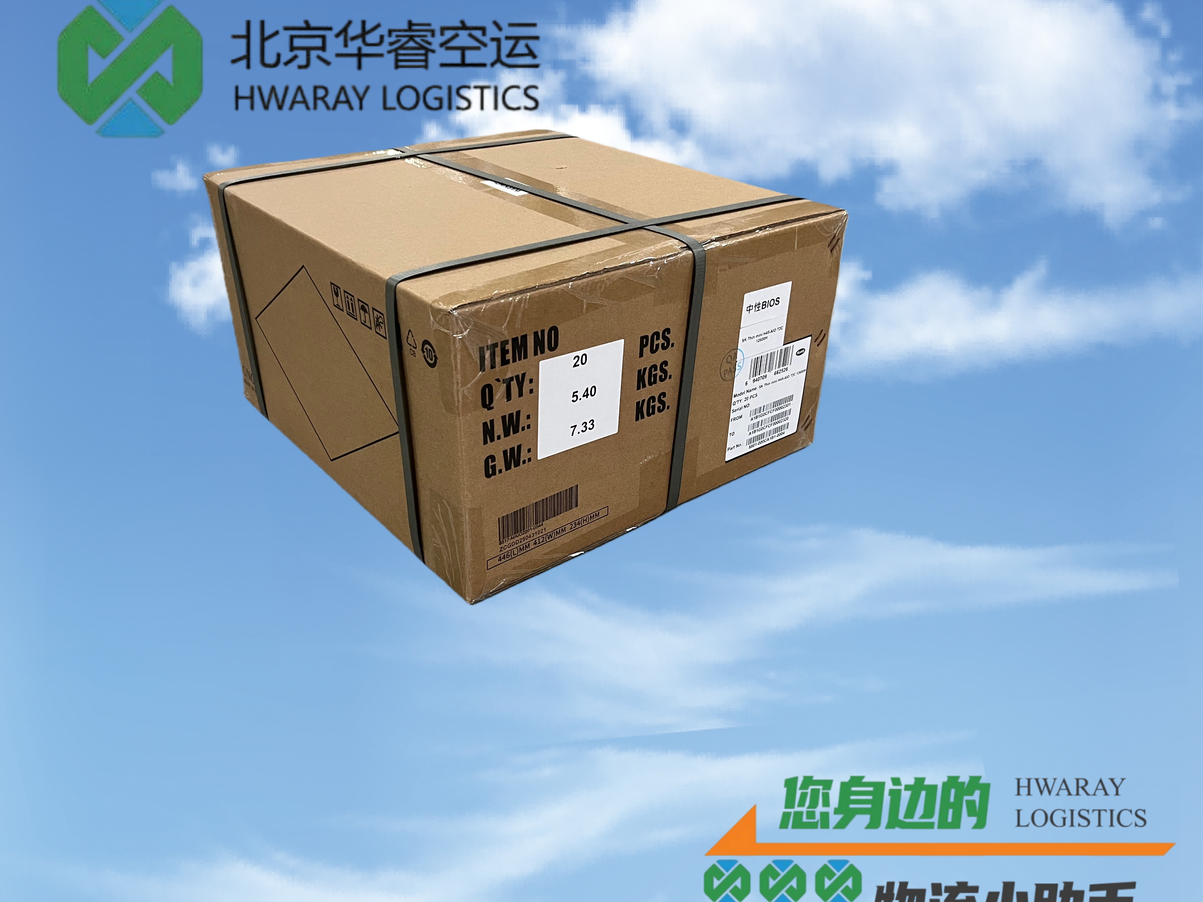 2026年知名的进出口转关服务商综合实力推荐