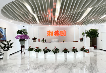 细聊县城十万元创业做早餐，靠谱品牌推荐让你开店更安心