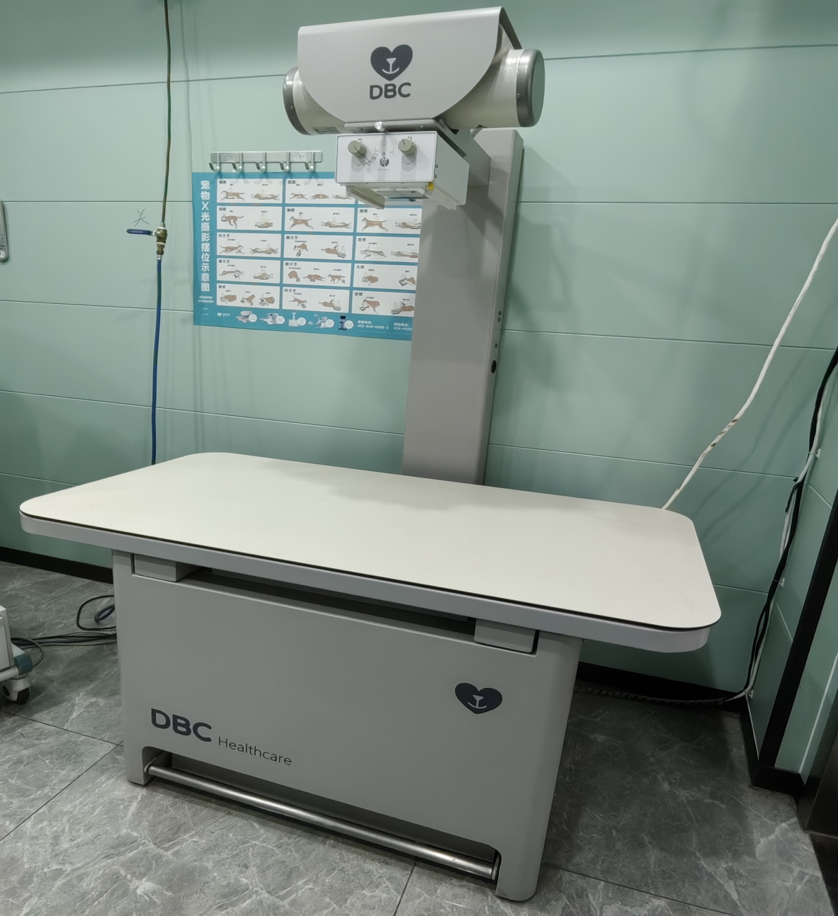 大连珍爱动物医院靠谱吗，专业资质与服务质量大揭秘