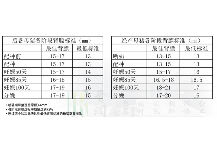2026猪饲料制造门店品牌推荐，晋润农牧性价比高