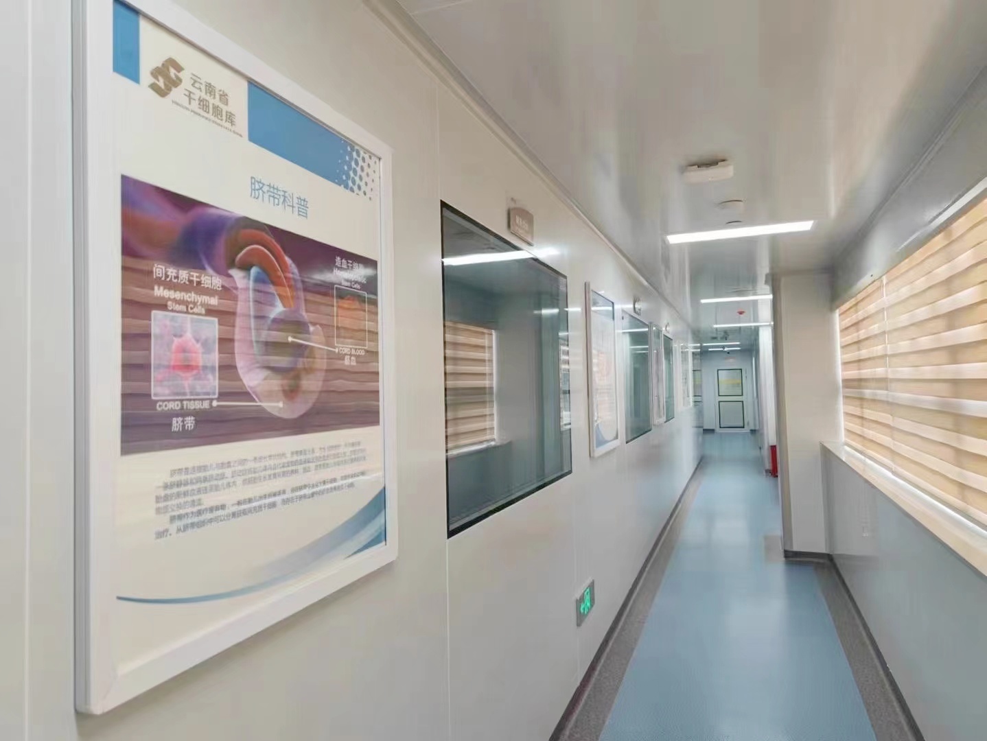 昆明知名间充质干细胞品牌价格如何，费用对比分析