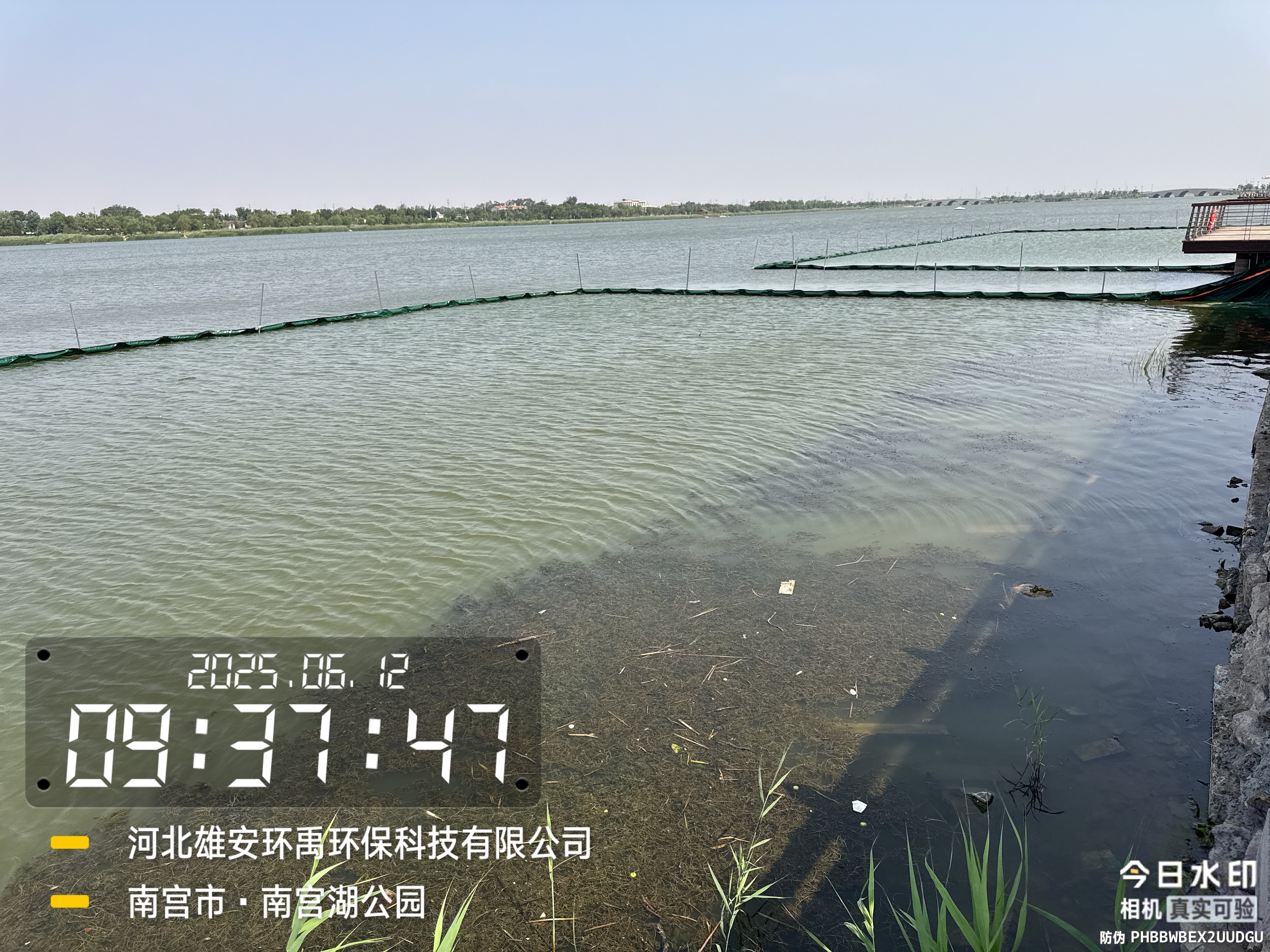 沉水植物种植哪个好?水藻园园林生产厂家能力调研报告 沉水植物种植哪个好?水藻园园林生产厂家能力调研报告