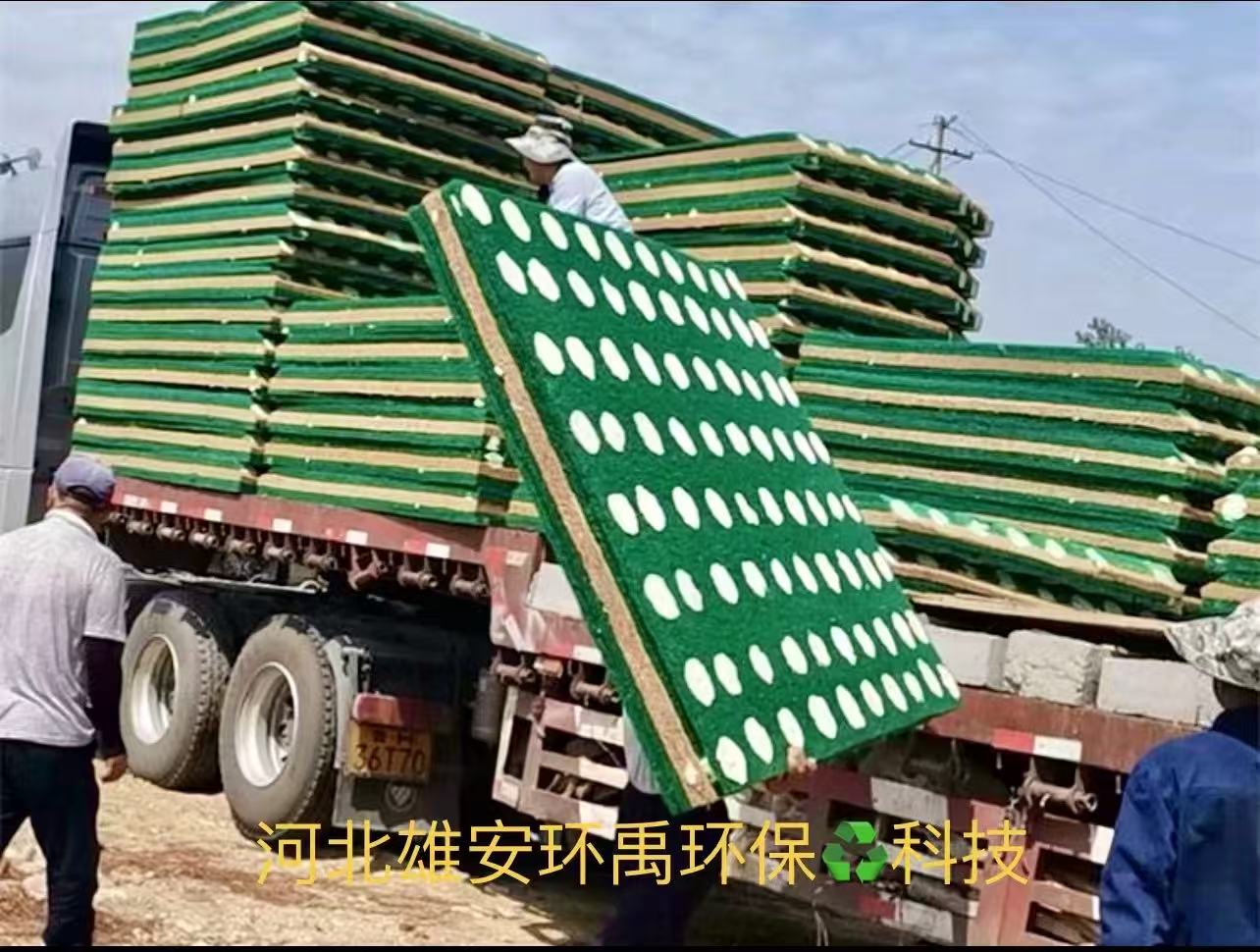 厚淤泥水域水草种植哪家公司能做？水藻园园林口碑好
