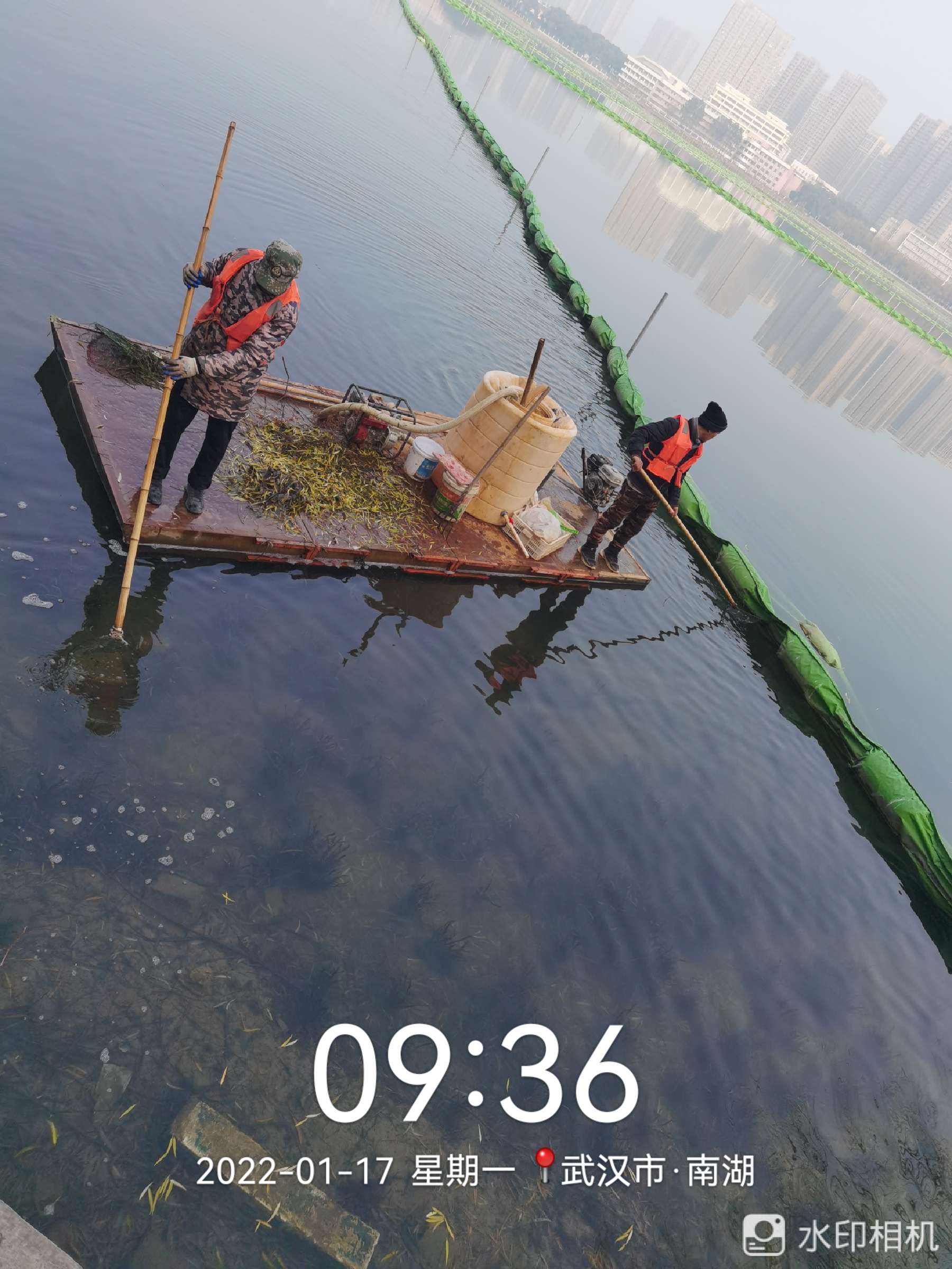 剖析水生植物售卖基地哪家靠谱，多地用户口碑之选揭秘