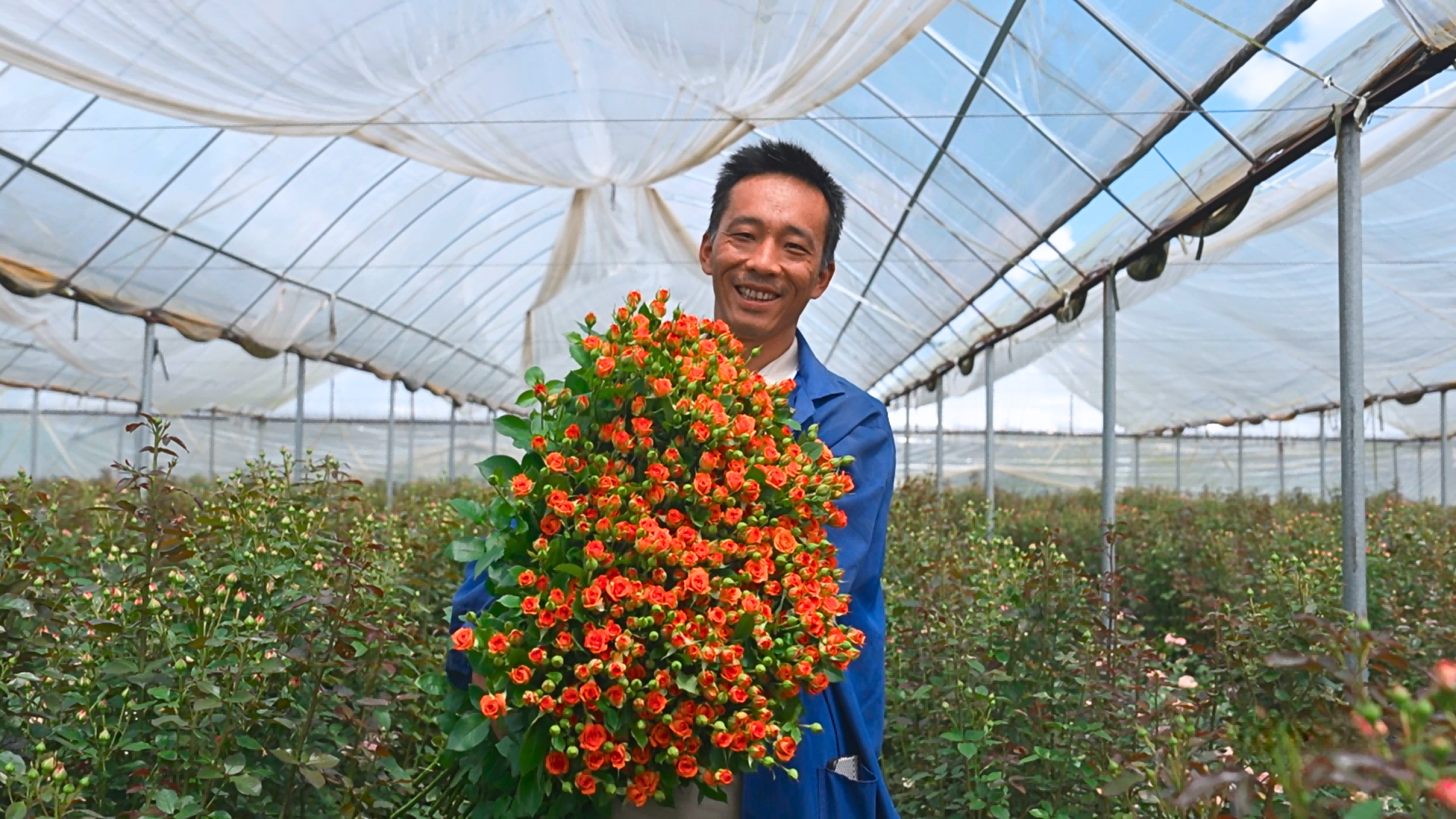 可靠的花卉公司推荐，和你一起分析珍情花卉