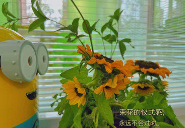 细聊太阳公元英语培训公司，靠谱机构怎么收费