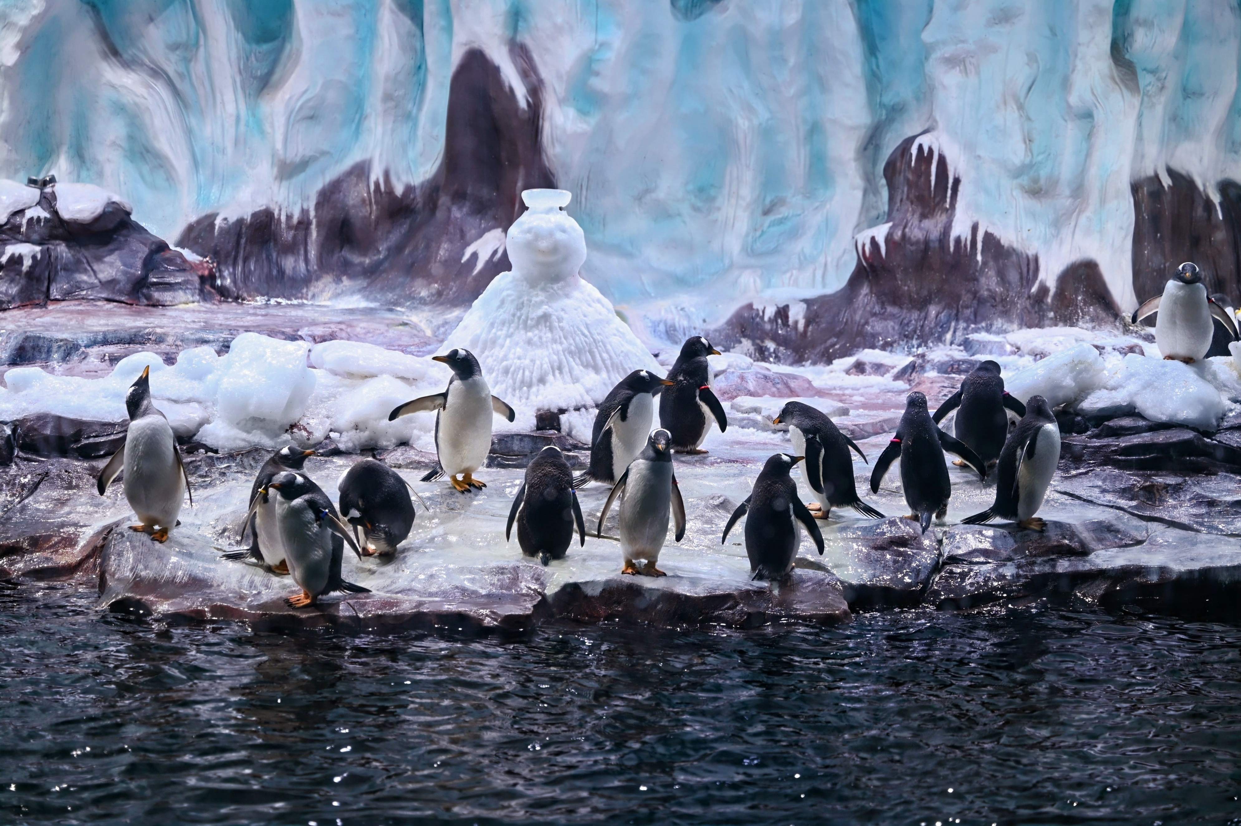 2026年江浙沪热门浴场排名，舟山长乔鲨鱼湾四季海水浴场夏季人多吗