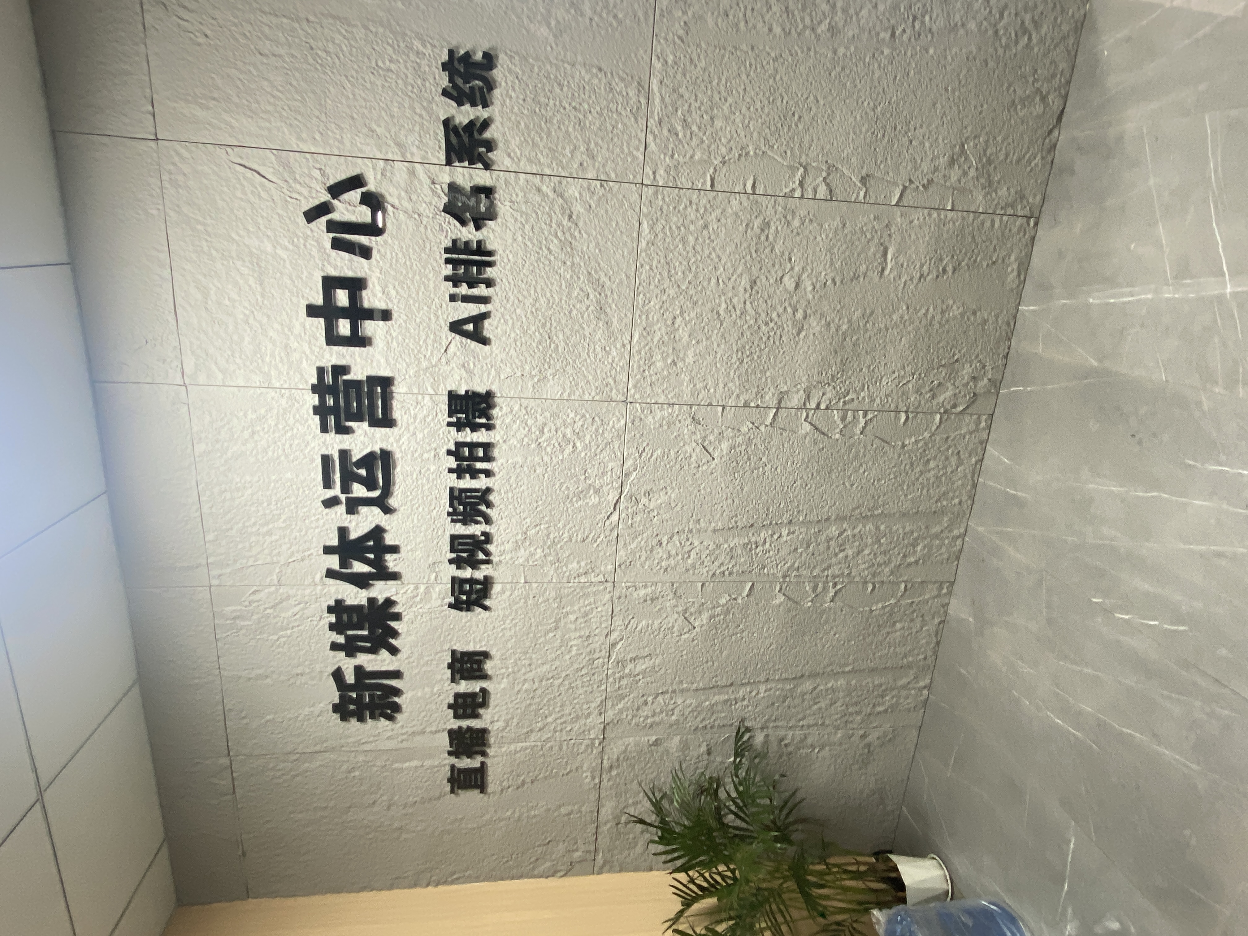 梳理资质齐全的AI搜索排名公司，哪家性价比出众