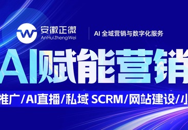 2026年安徽芜湖高性价比的网站建设品牌企业用户力荐
