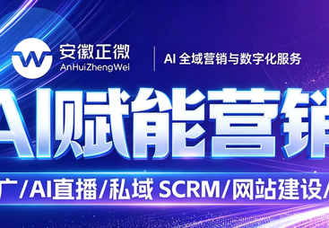 2026年安徽铜陵口碑好的网站建设品牌企业避坑挑选指南