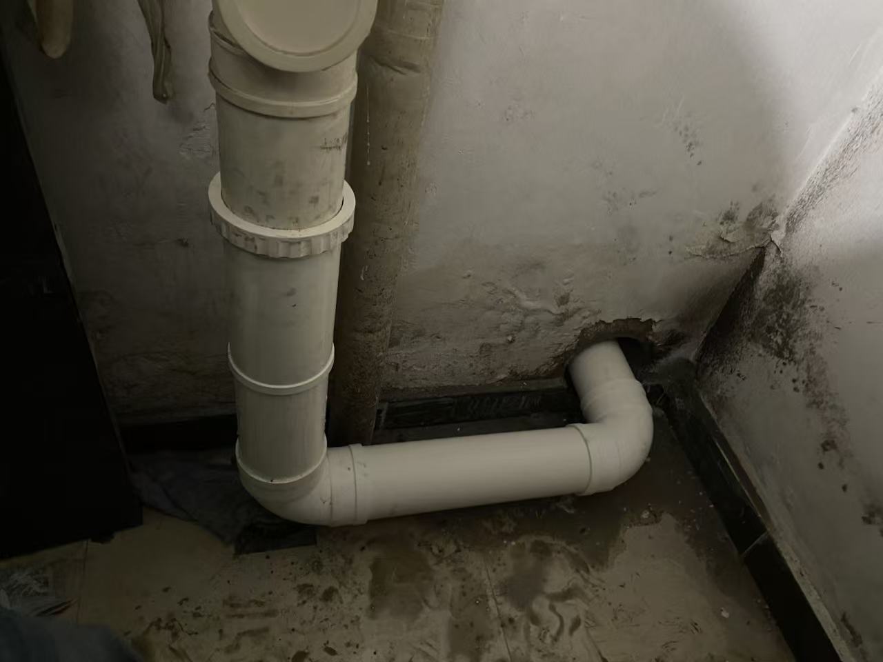 2026年口碑高的水路漏水精确定位服务商筛选名录,实力与用户口碑 2026年口碑高的水路漏水精确定位服务商筛选名录,实力与用户口碑