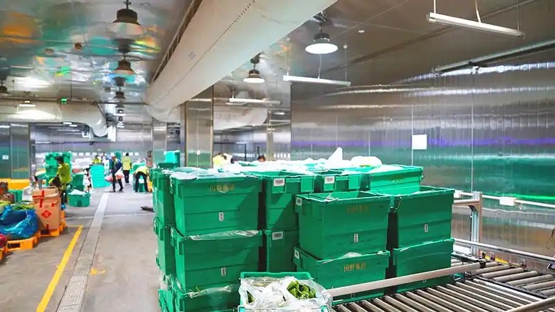 和你一起品味服务不错的蔬菜配送公司，靠谱供应商和定制生产企业选哪家