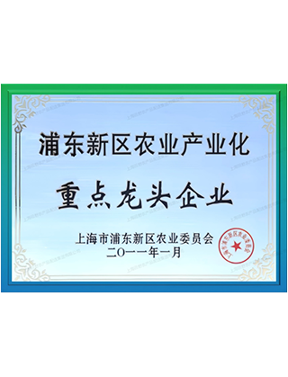 2026年冷链蔬菜配送公司排名，上海田野集团口碑好
