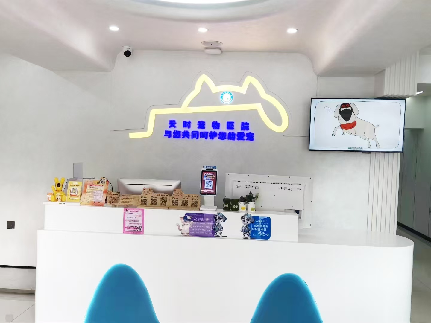 2026年哈尔滨宠物医疗机构环境好品牌，天时宠物医院实力上榜